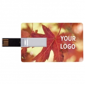 Pamięć USB `karta kredytowa`